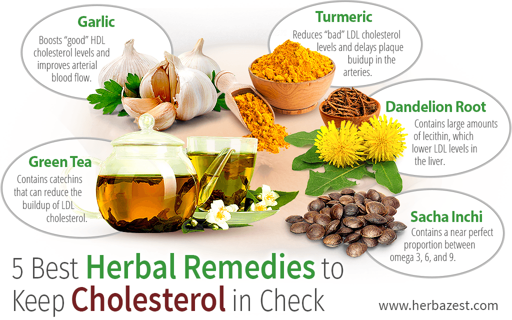 5 Best Herbal Remedies to Keep Cholesterol in Check ...