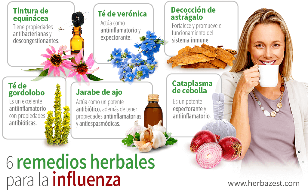 6 Remedios Herbales Para La Influenza HerbaZest