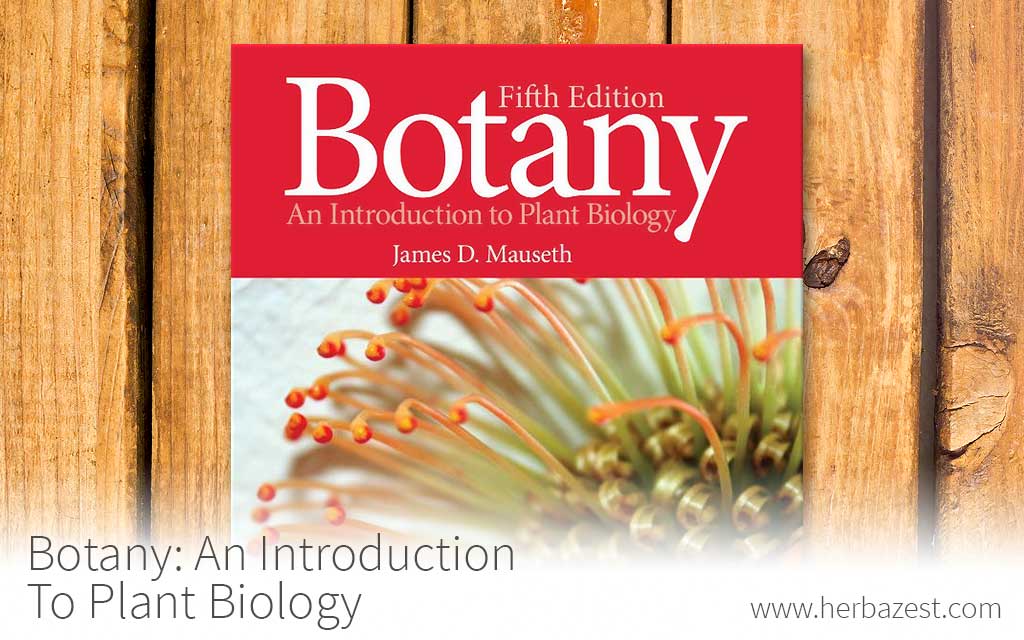 Botany: An Introduction To Plant Biology