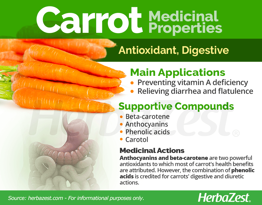 Carrot Medicinal Properties