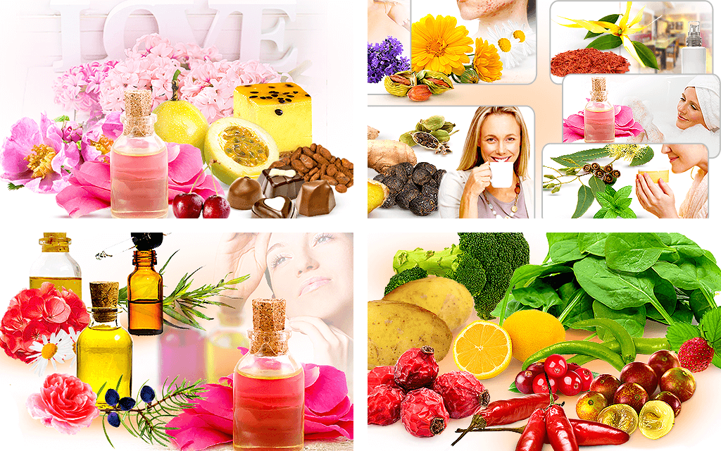 Rose Wellness Articles HerbaZest