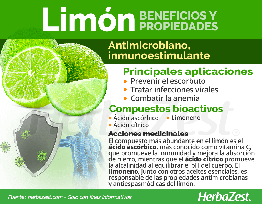 Beneficios y propiedades del limón