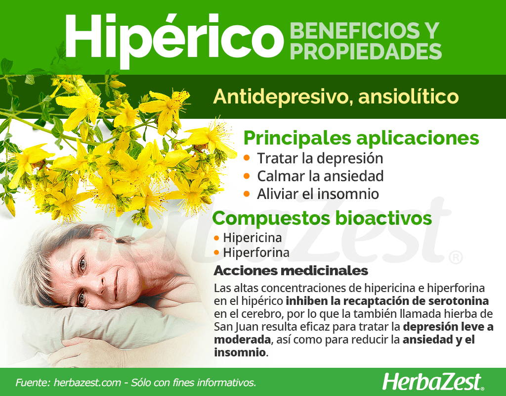 Beneficios y propiedades del hipérico