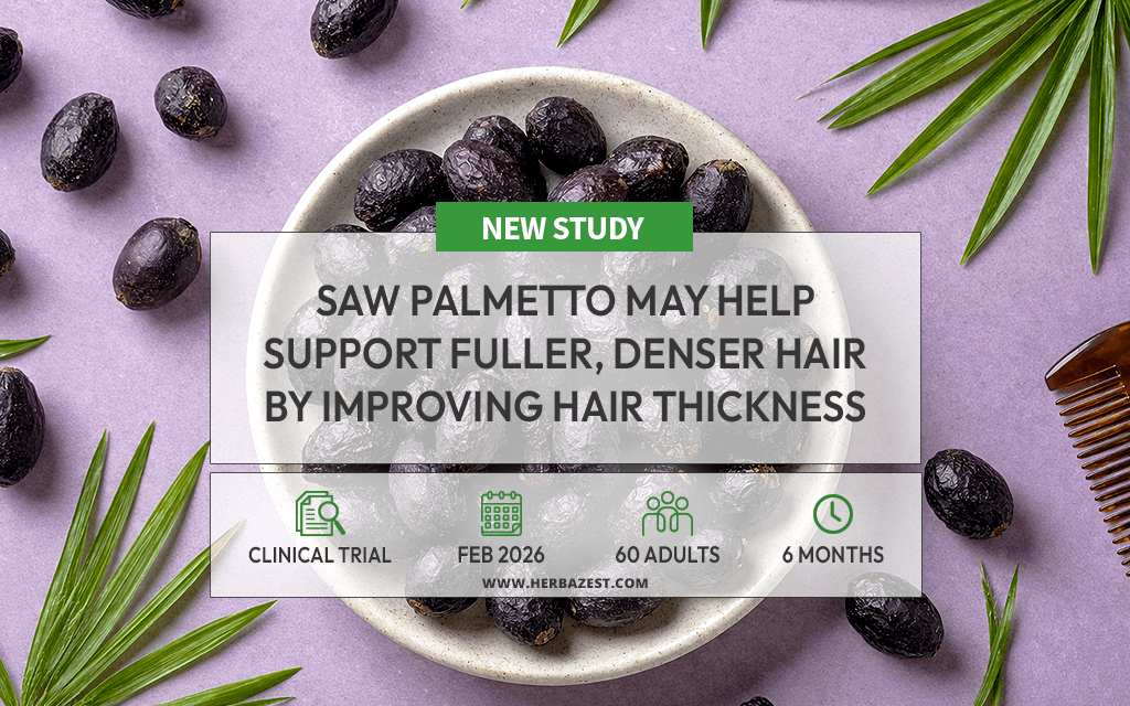 Saw Palmetto Shows Promise for Fuller and Denser Hair