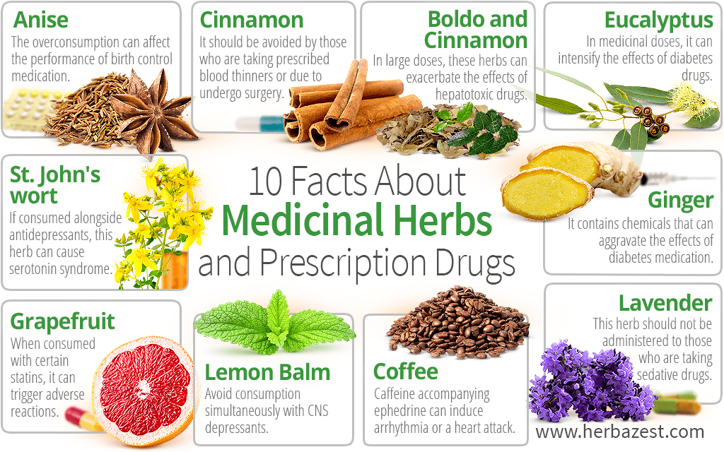 10 Facts About Medicinal Herbs and Prescription Drugs
