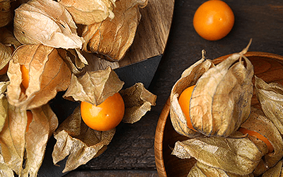 In Vitro Trial Examines Bioactive Compounds in Goldenberries