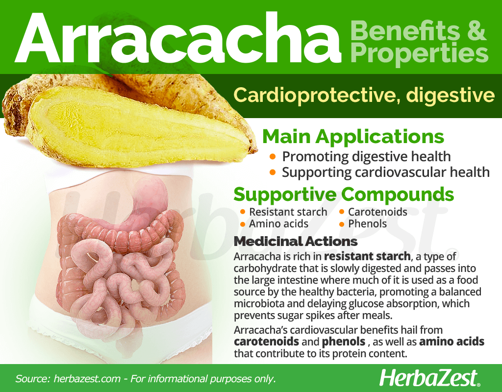 Arracacha Benefits and Properties