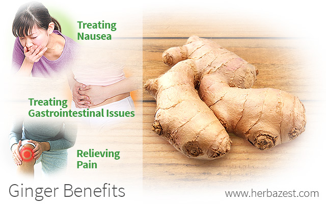 Ginger Health Benefits