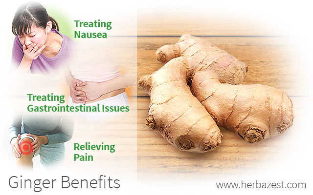 Benefits of Ginger