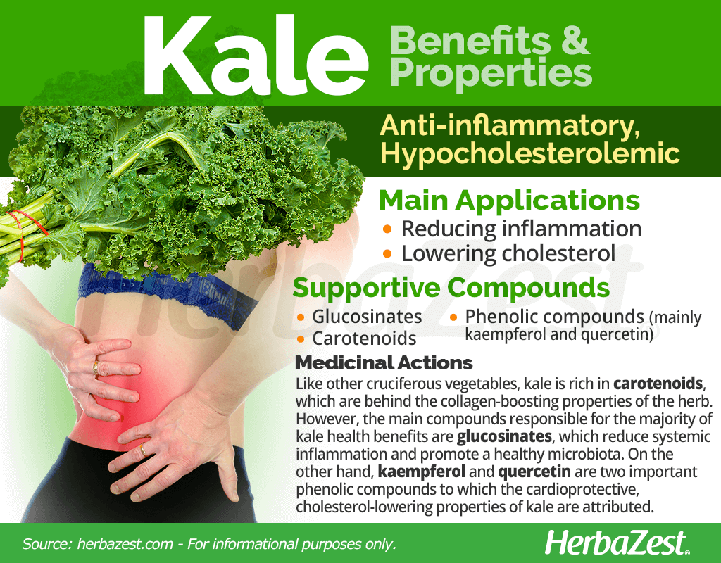 Kale Benefits and Properties