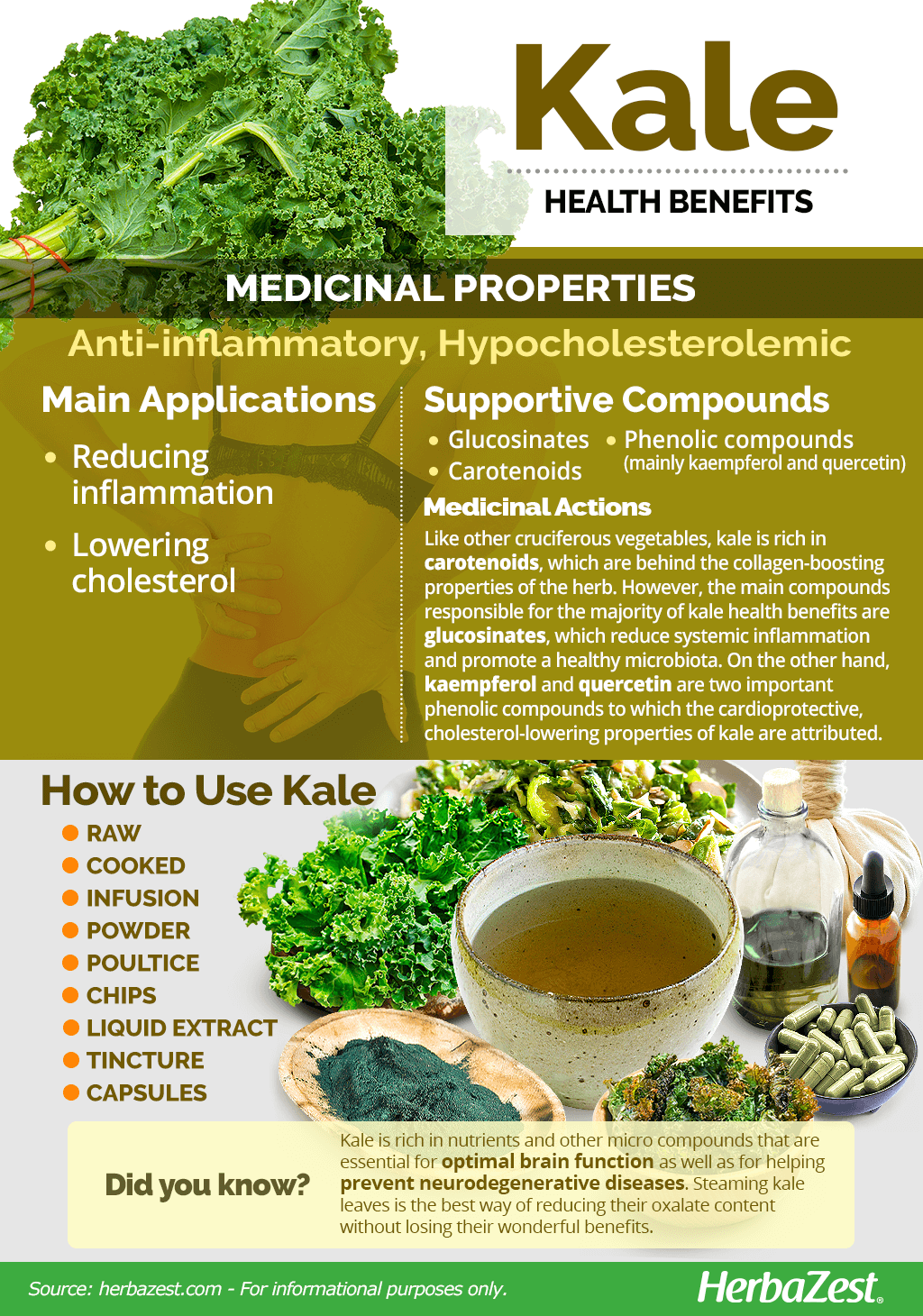 All About Kale