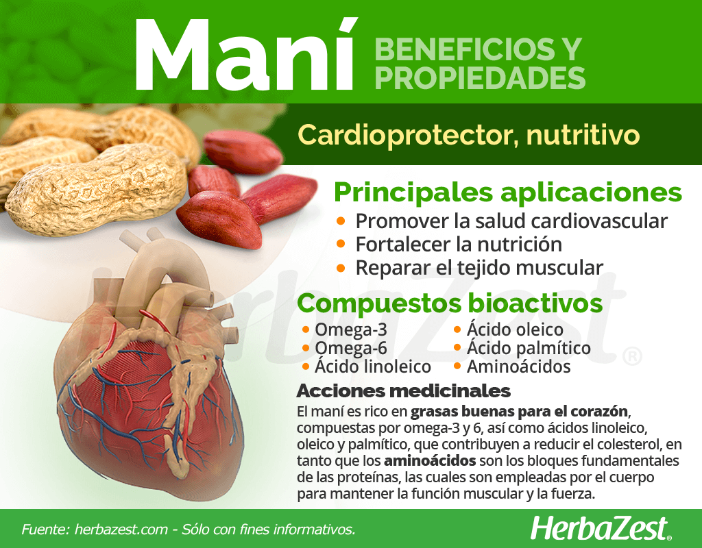 Beneficios y propiedades del maní