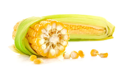 Maize