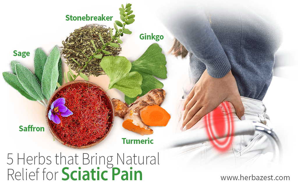 5 Herbs that Bring Natural Relief for Sciatica Pain