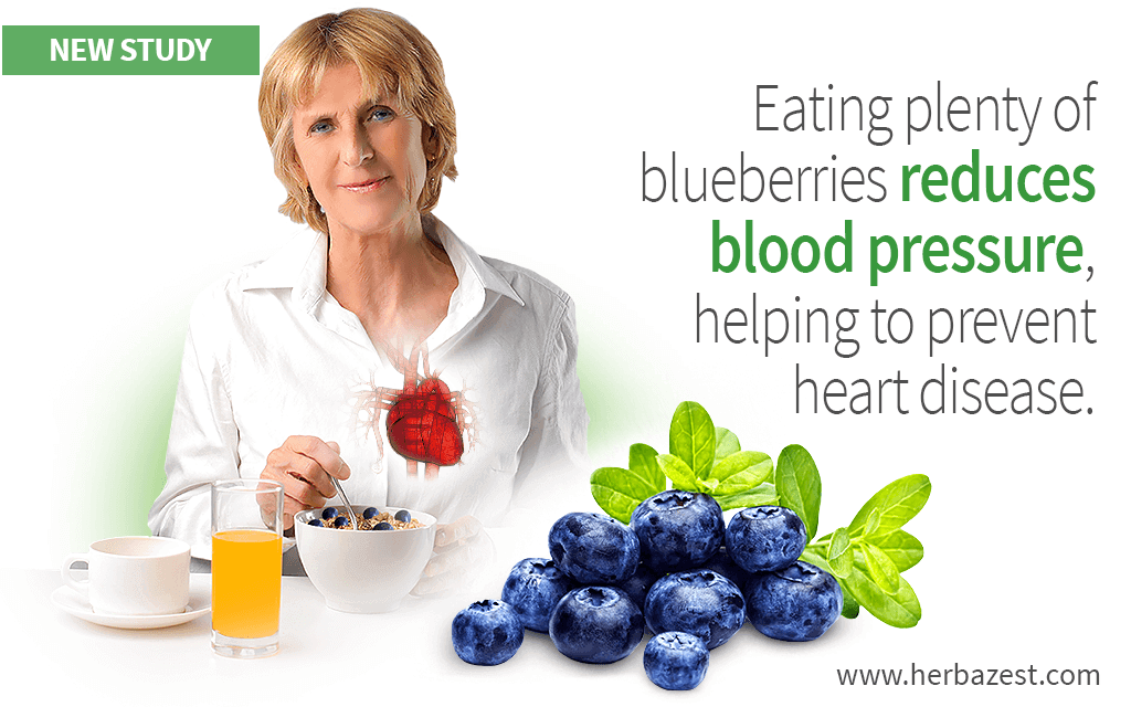 Eating plenty of blueberries reduces blood pressure, helping to prevent heart disease.