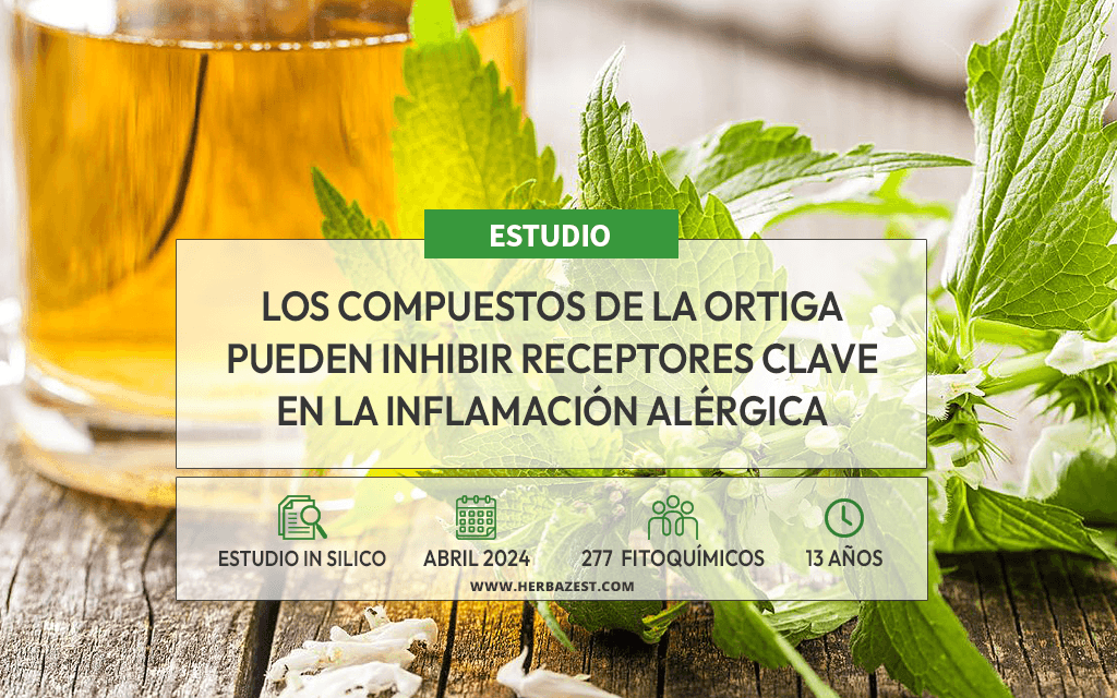 La ortiga puede aliviar los síntomas de la rinitis alérgica