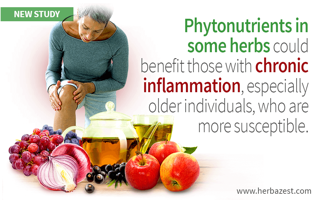 Phytonutrients in some herbs could benefit those with chronic inflammation, especially older individuals, who are more susceptible.