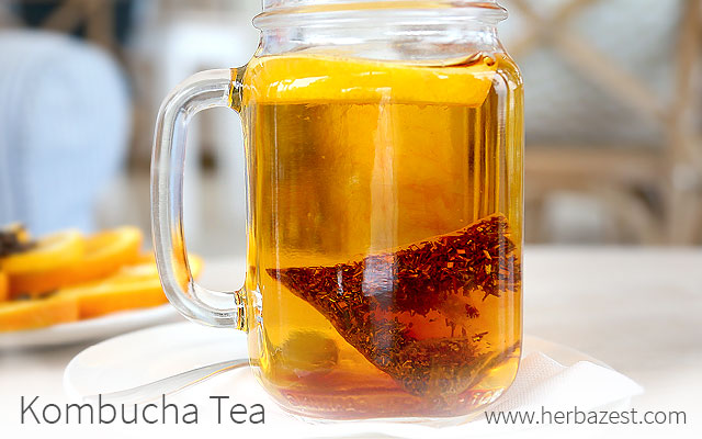 Kombucha Tea
