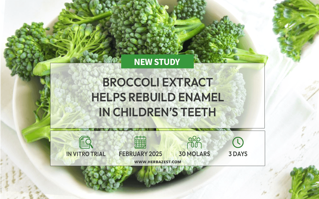 Broccoli Extract Helps Repair Tooth Enamel in Children