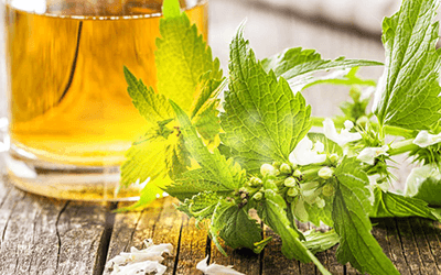 Allergic Rhinitis Symptoms May Be Alleviated with Nettle