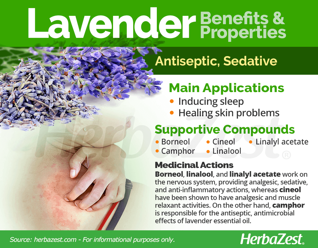 Lavender Benefits and Properties