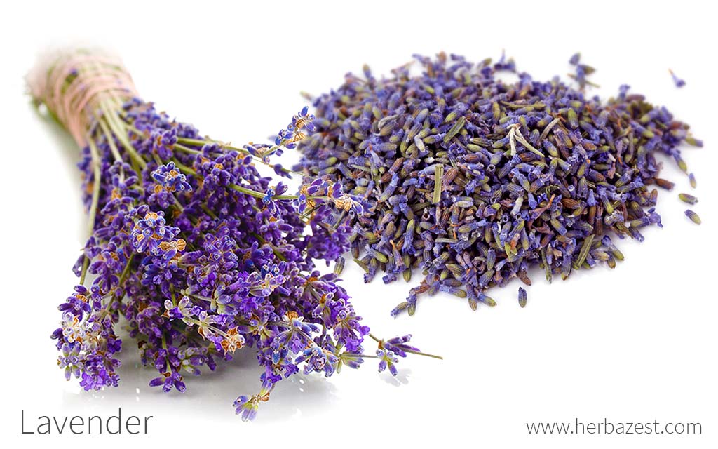 Dried Lavender Flowers - Dried Lavender Uses & Benefits