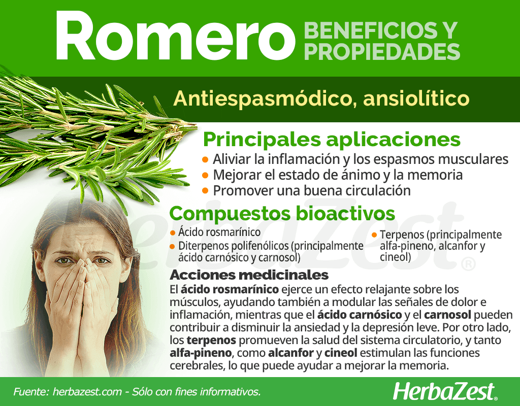 Beneficios y propiedades del romero