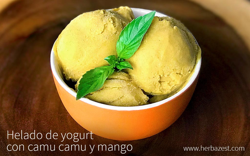 Helado de yogurt con camu camu y mango