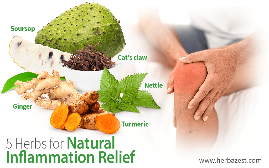 5 Herbs for Natural Inflammation Relief
