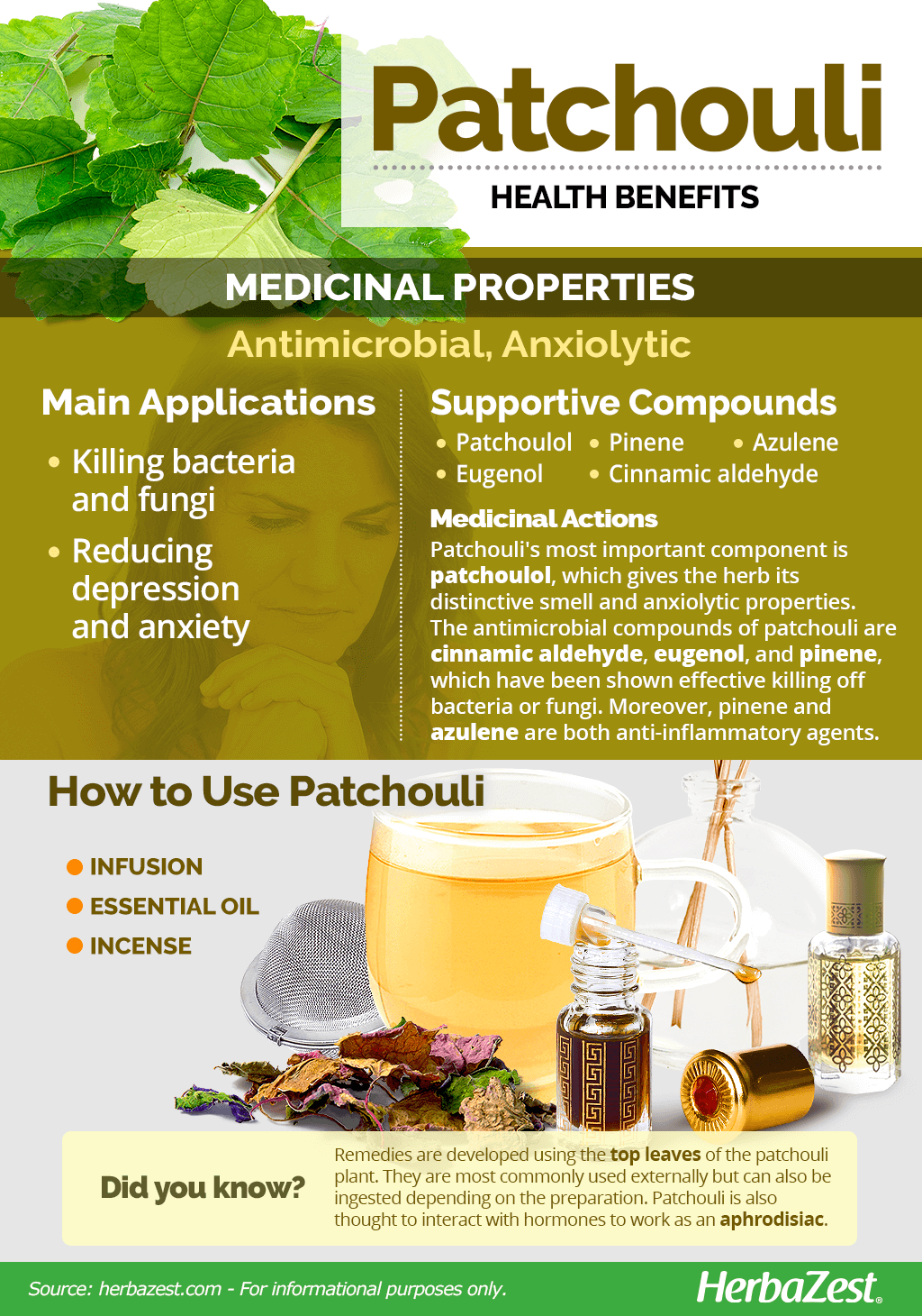 All About Patchouli
