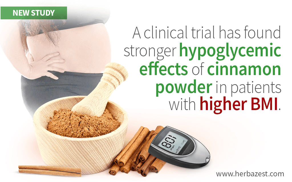 Cinnamon Proven Hypoglycemic by a Study, but May Depend on Body Mass Index