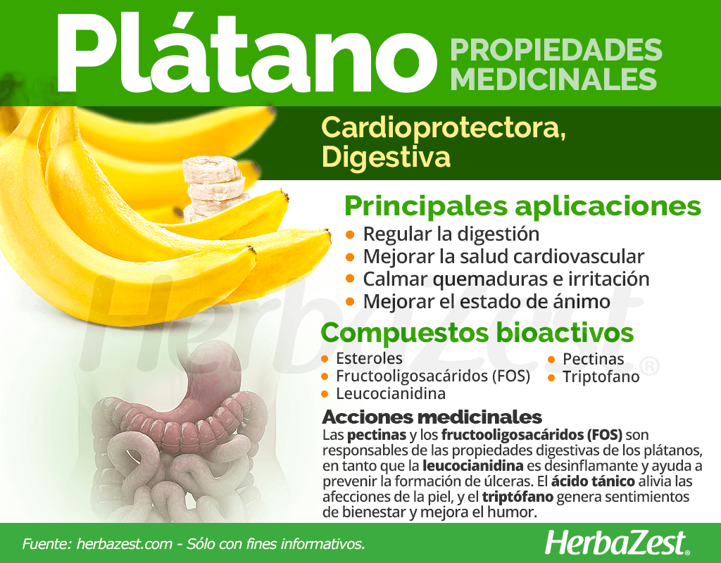 Plátano Propiedades Medicinales