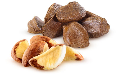 Brazil Nut