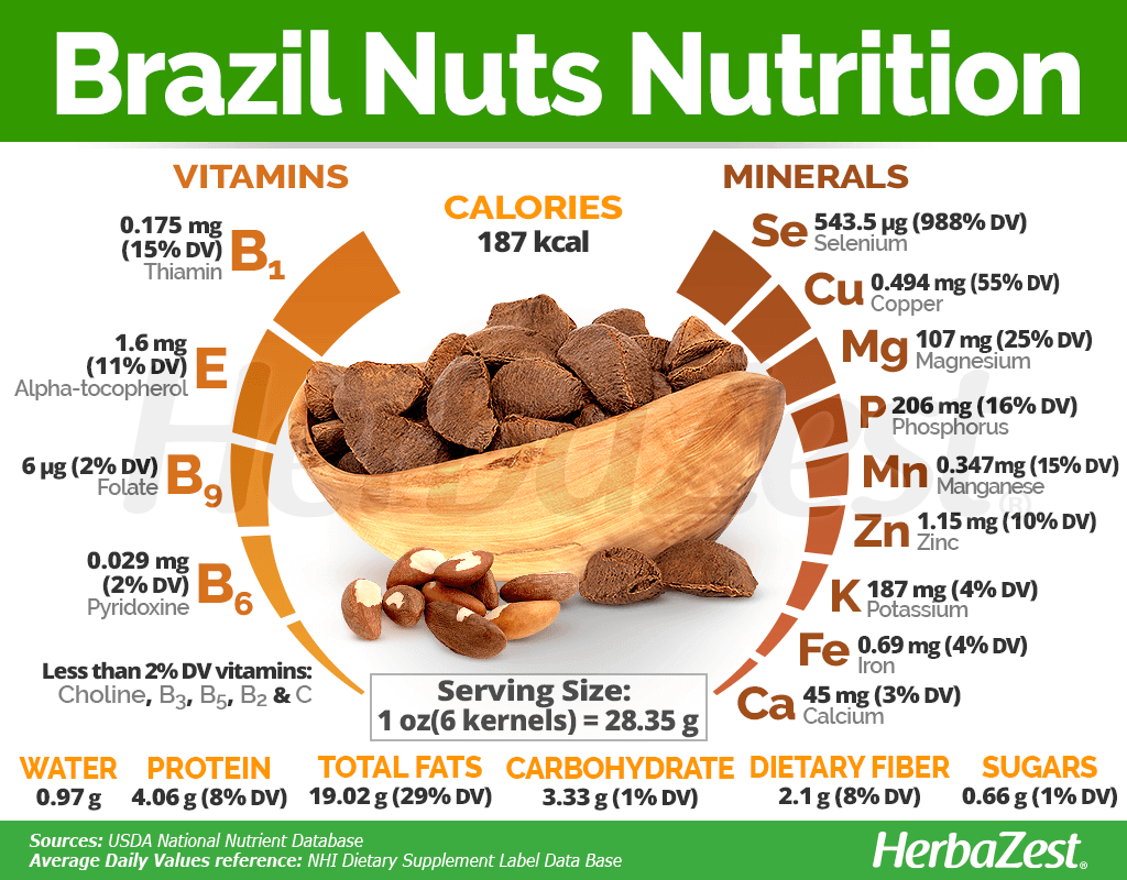 Brazil Nuts Nutrition