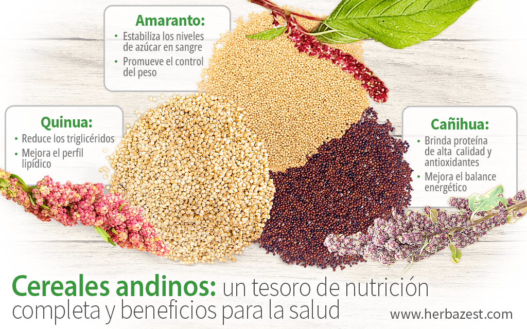 Cereales andinos: un tesoro de nutrición completa y beneficios para la salud