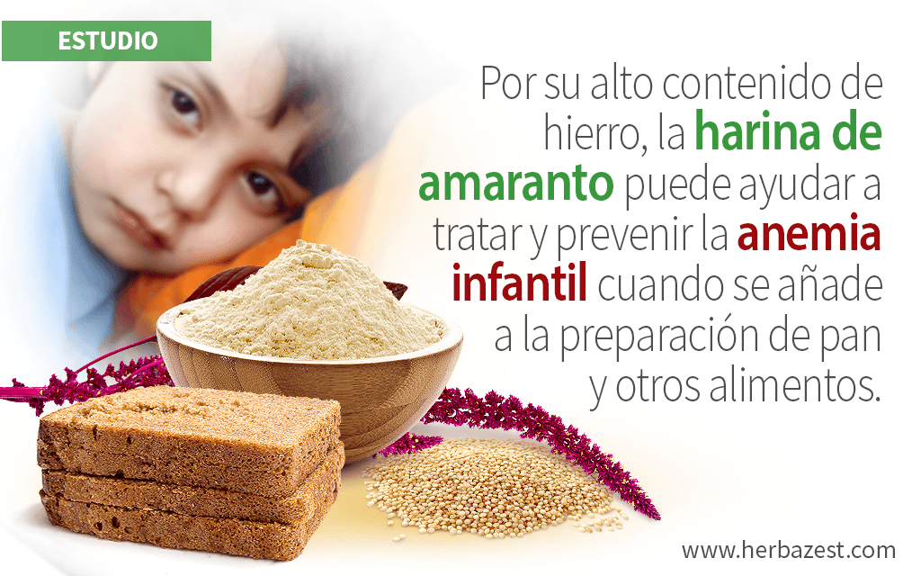 La harina de amaranto ayuda a reducir la prevalencia de anemia infantil