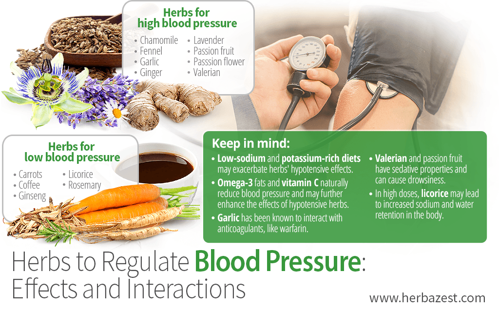 Herbs to Regulate Blood Pressure: Effects and Interactions
