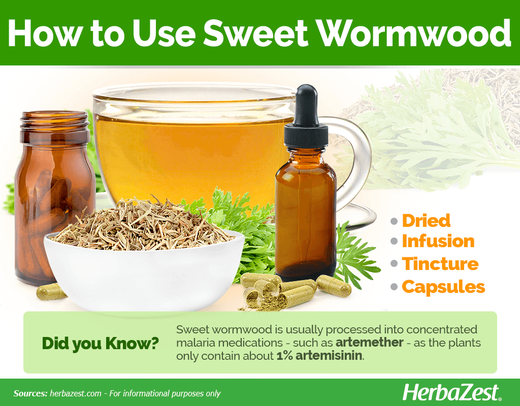 How to Use Sweet Wormwood