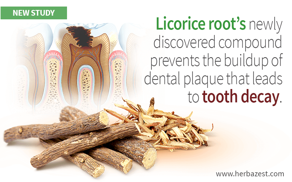 Licorice Compound Strong Against Tooth Decay Bacteria