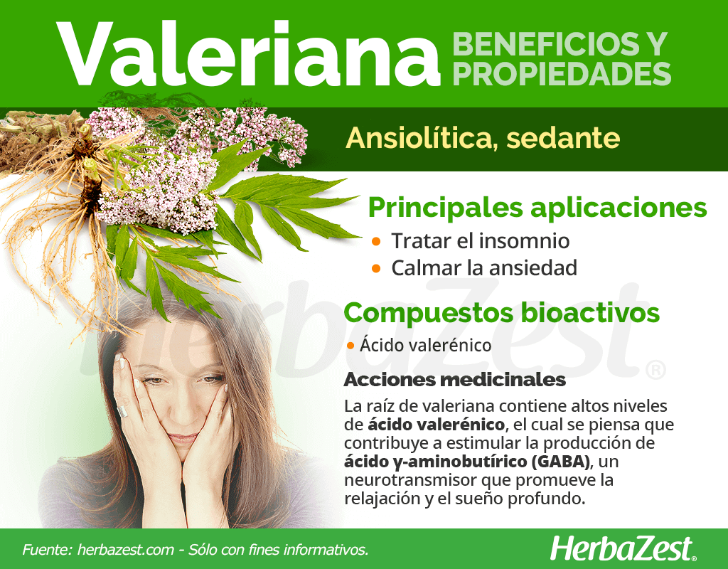 Beneficios y propiedades de la valeriana