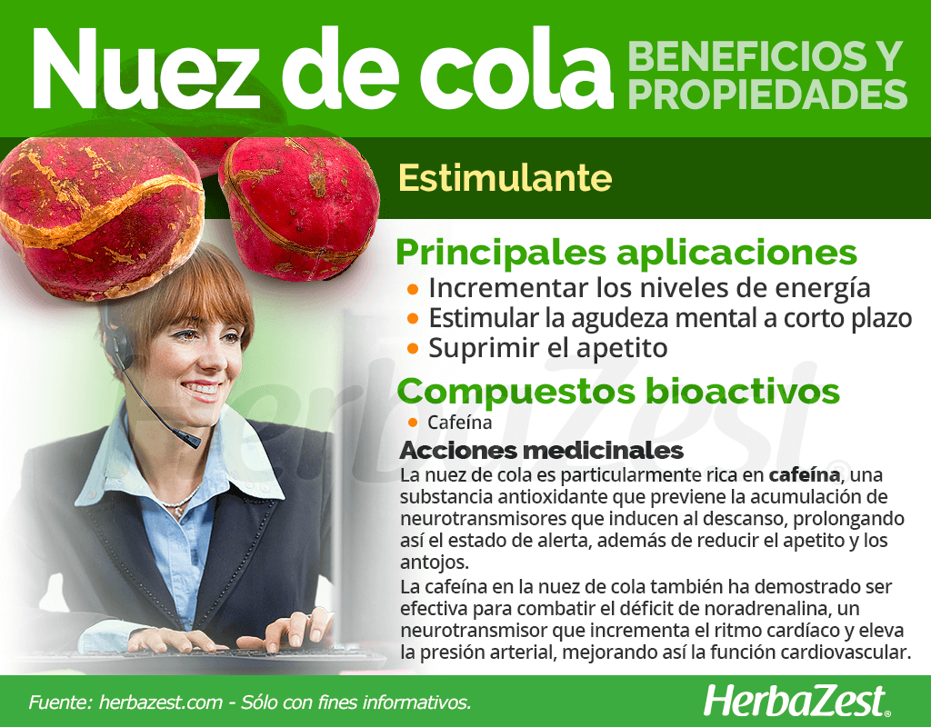 Beneficios y propiedades de la nuez de cola