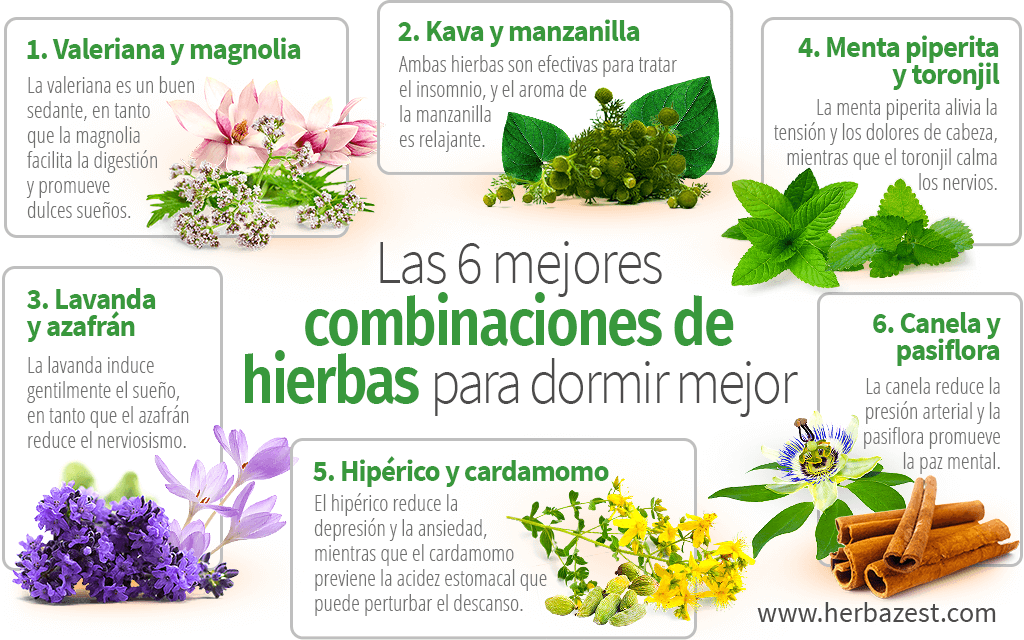 Las 6 mejores combinaciones de hierbas para dormir mejor