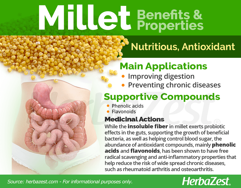 Millet Benefits and Properties