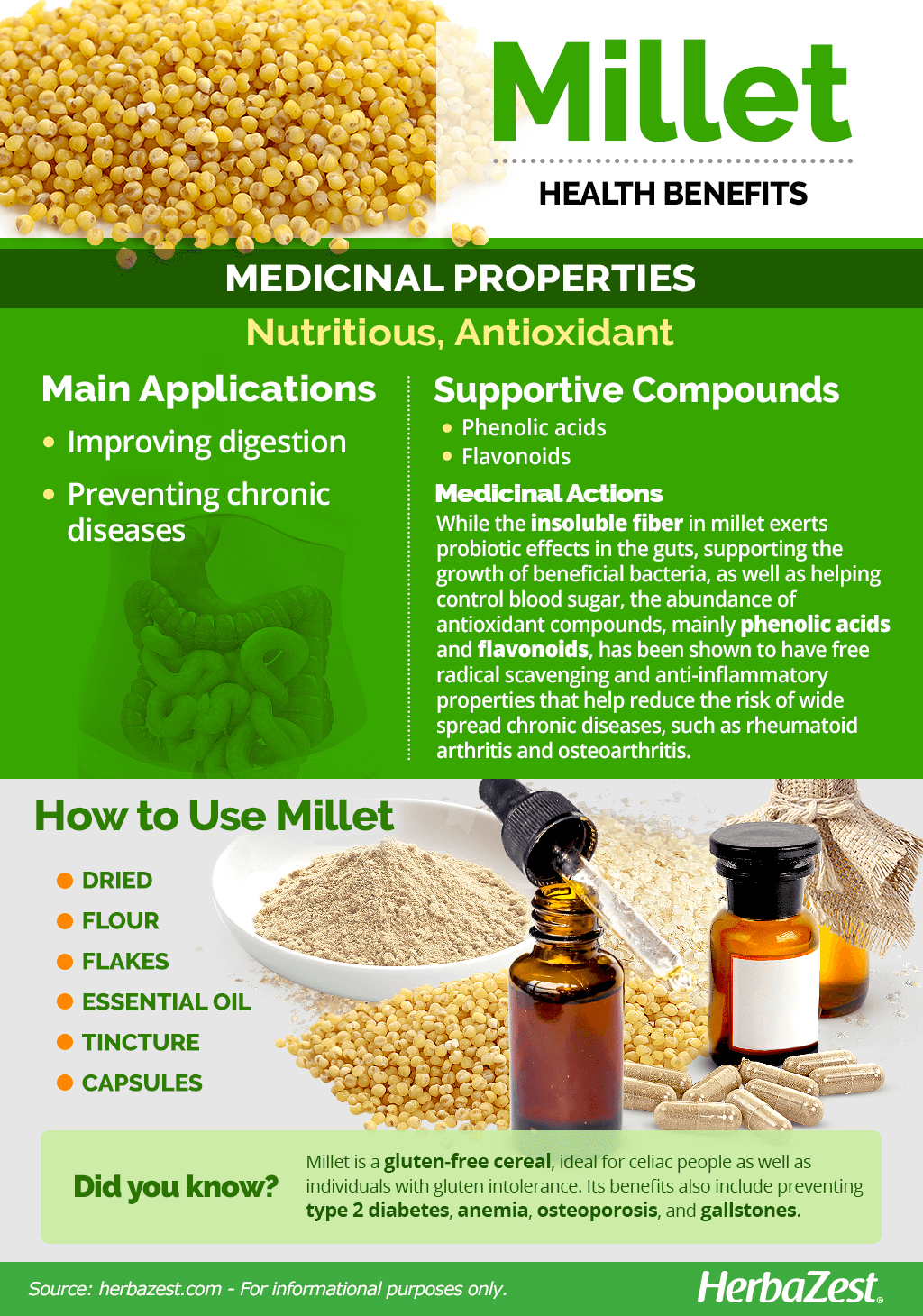 All About Millet