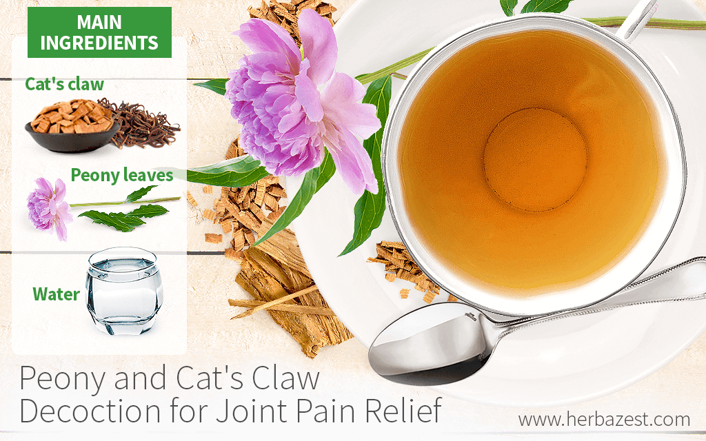 Peony and Cat's Claw Decoction for Joint Pain Relief HerbaZest