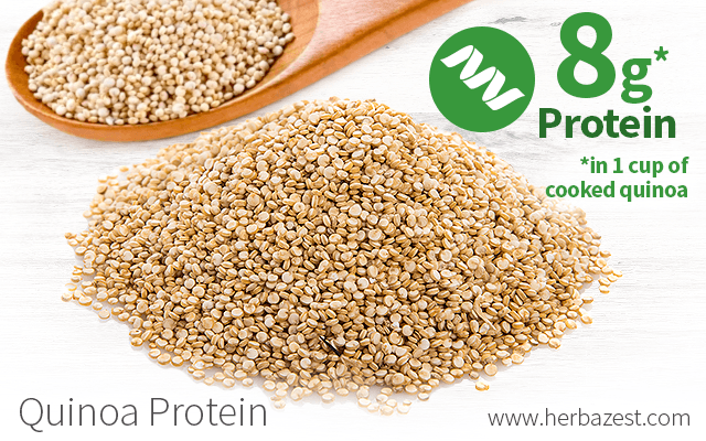 Quinoa Protein