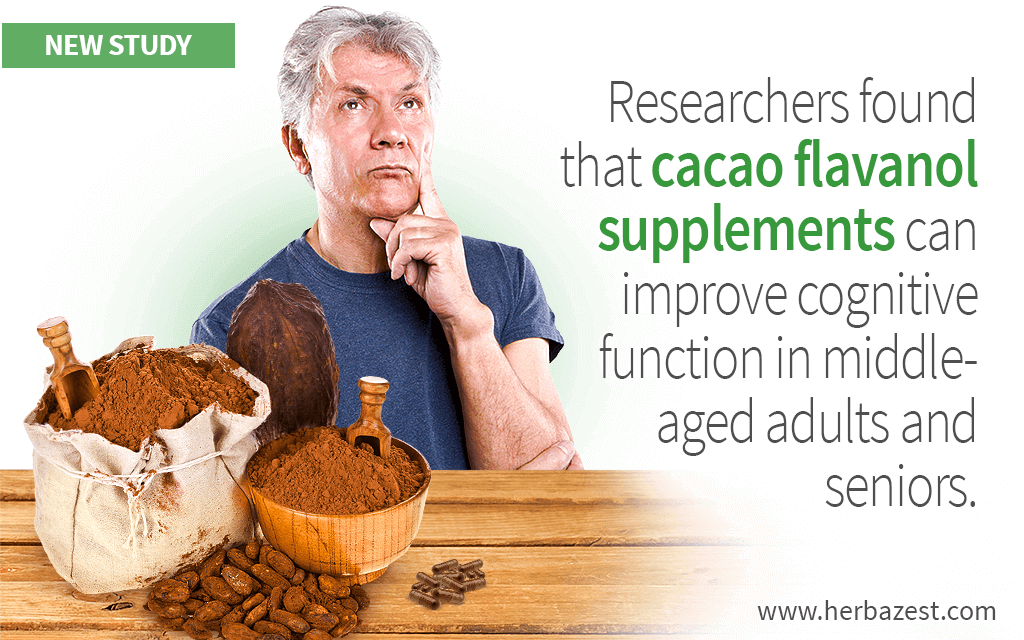 Researchers found that cacao flavanol supplements can improve cognitive function in middle-aged adults and seniors.