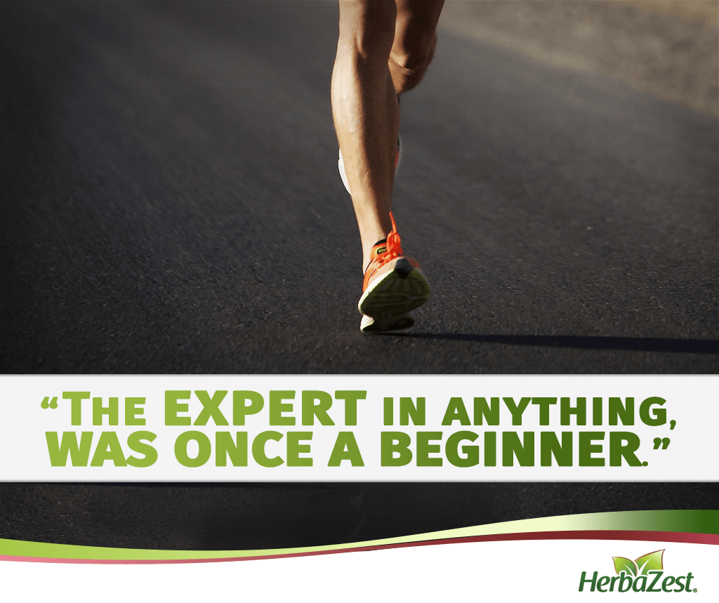Quote: The Expert in Anything Was Once a Beginner