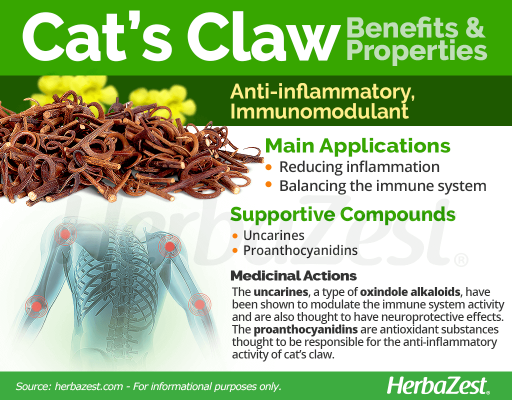 Cat's Claw Benefits and Properties