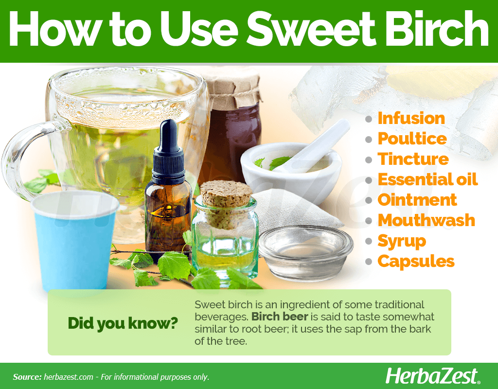How to Use Sweet Birch